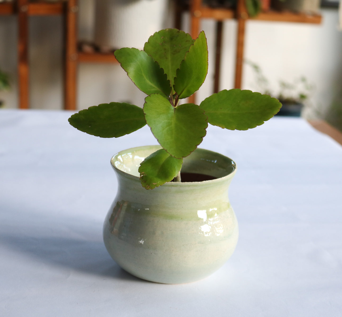 Serving pot | Decorative pot | Planter