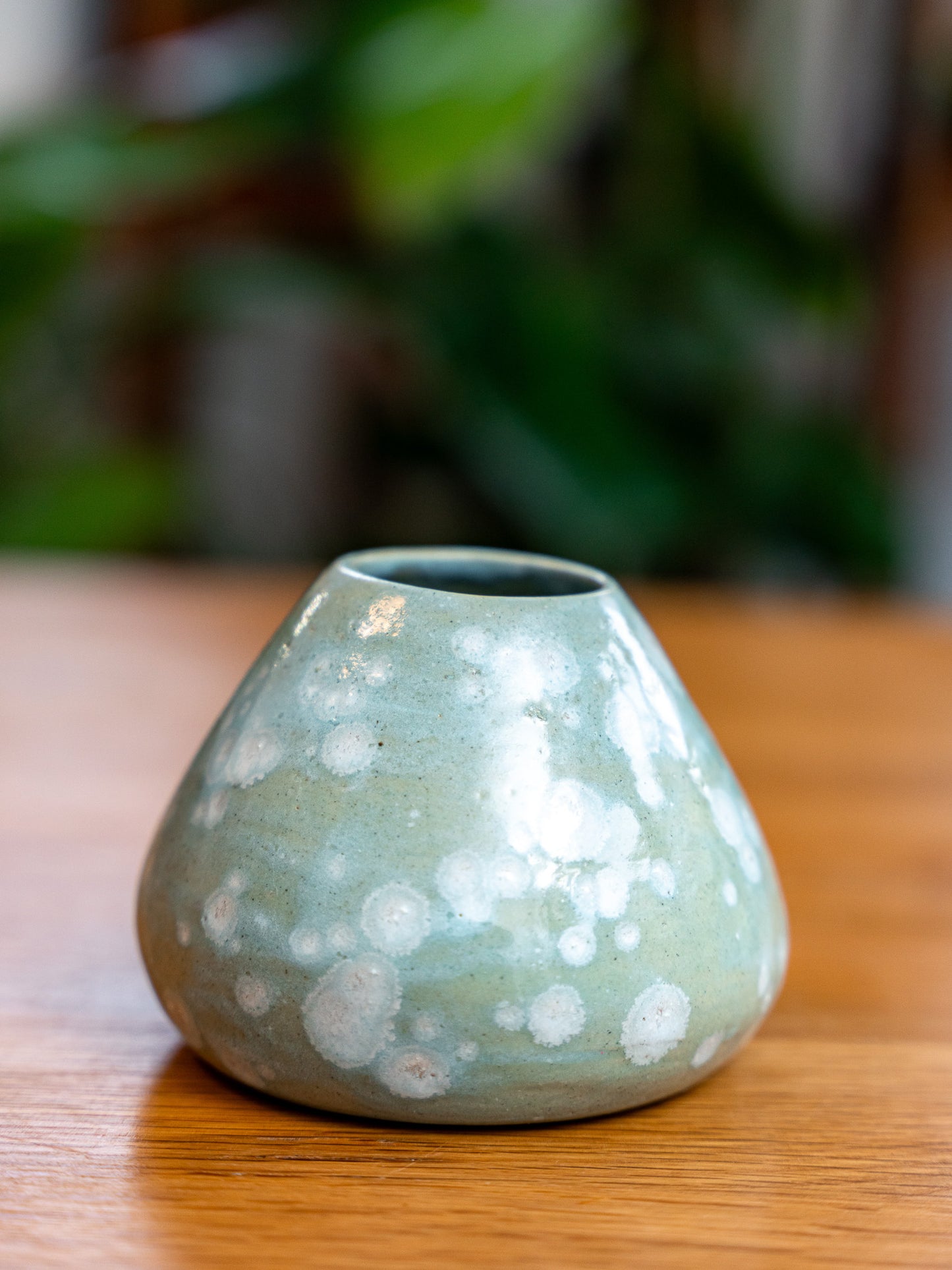 Flower Vase | Decorative pot